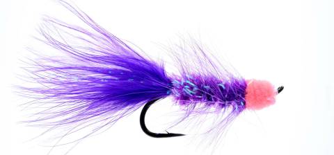 Egg Sucking Leech Purple 6 Pack CLOSEOUT